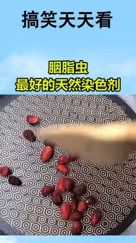 我要上热门#胭脂虫,最好的天然染色剂