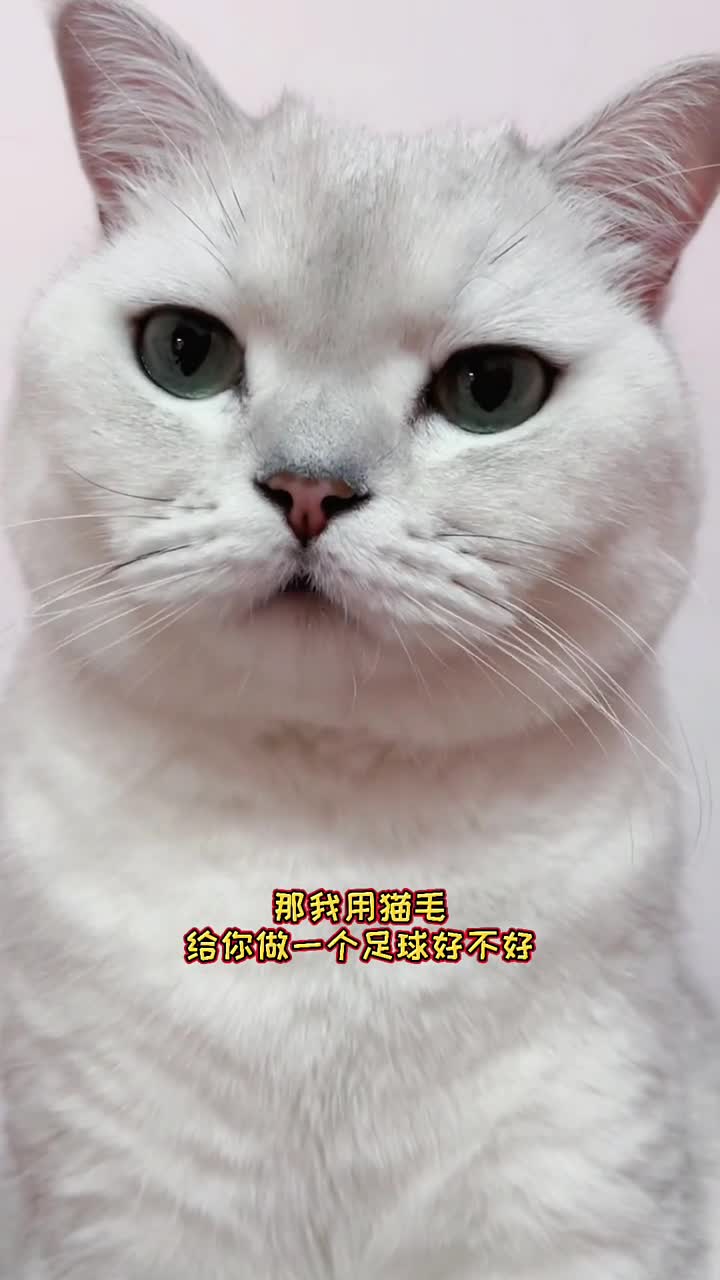 我要上热门#没想到大圆子竟然是个足球小天才