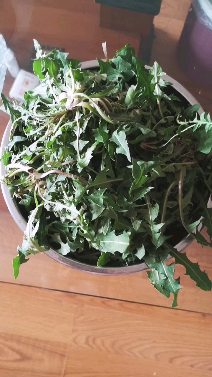 野菜婆婆丁,清热去火,五块钱买了一盆