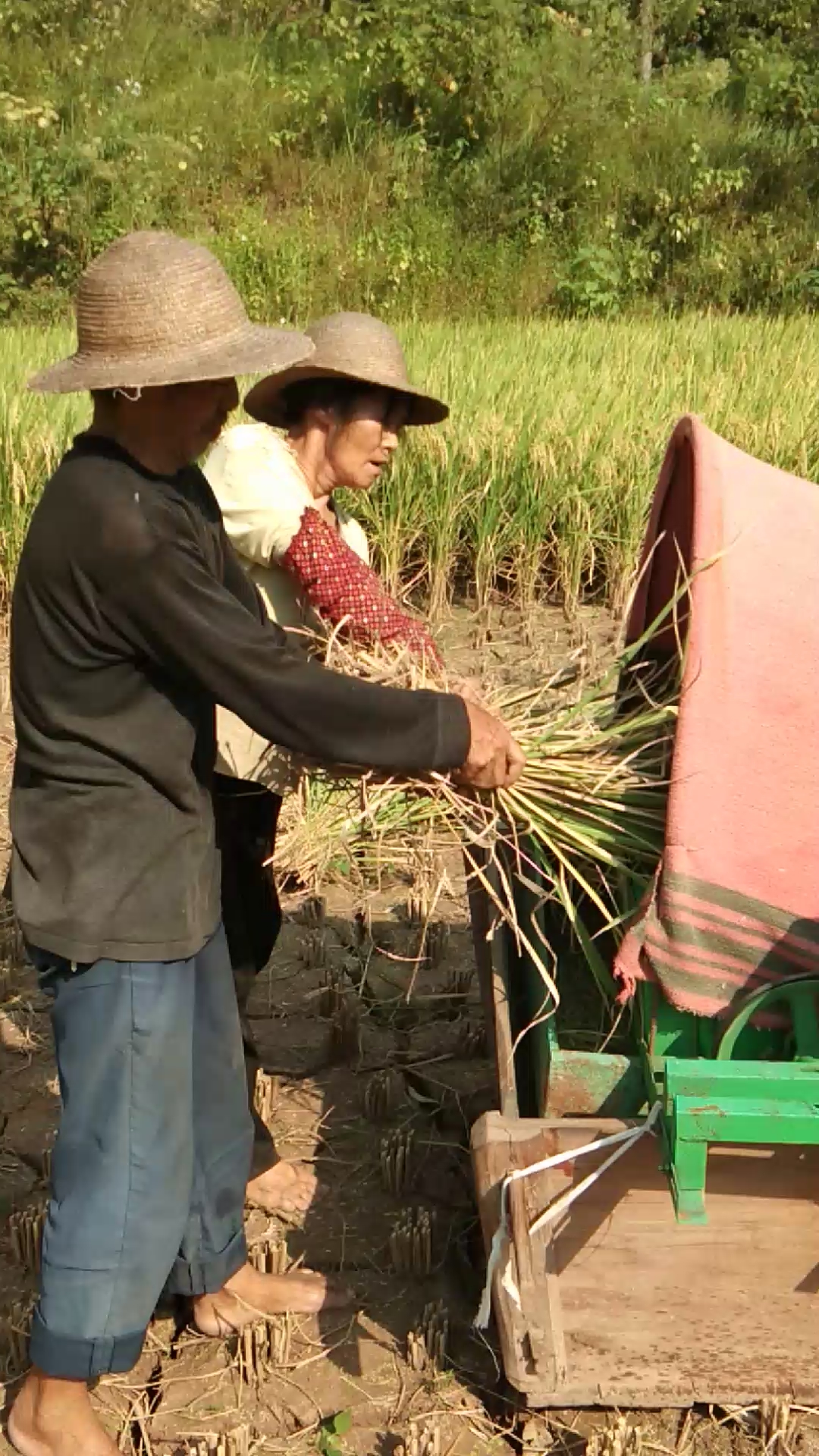 收谷太阳大,汗水如雨下.粮食别浪费,粒粒有代价.致敬广大劳动人民.