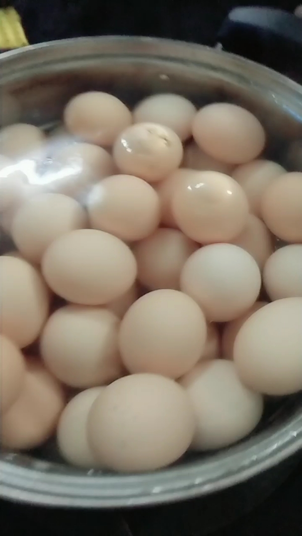 吃蛋蛋了,这么多蛋蛋