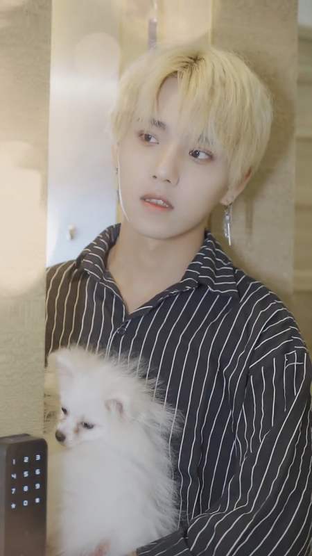 扫码下载度小视 发个视频 让别人知道 志鸿白马小志 29.42万粉丝