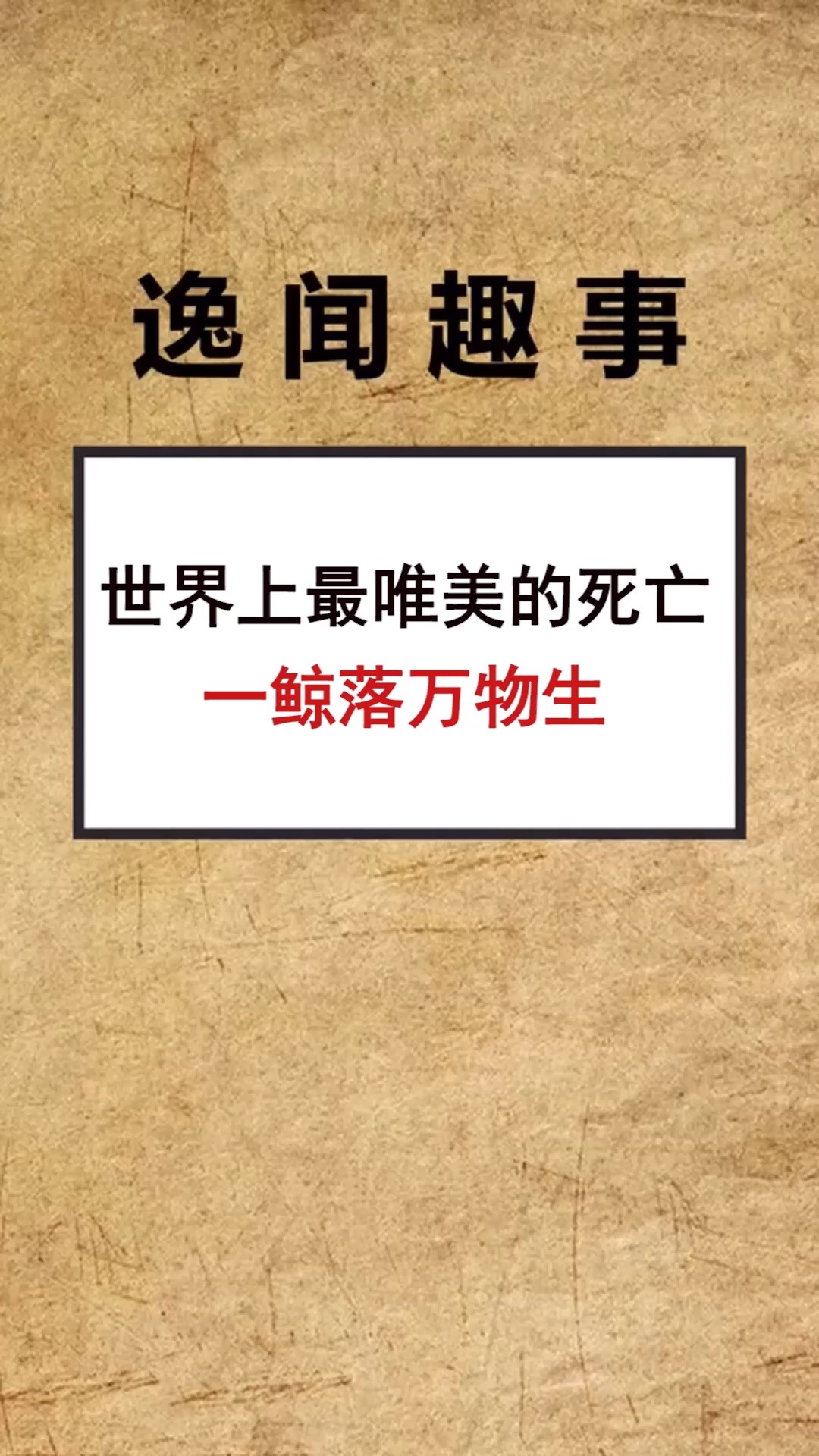 世界上最唯美的死亡,一鲸落万物生