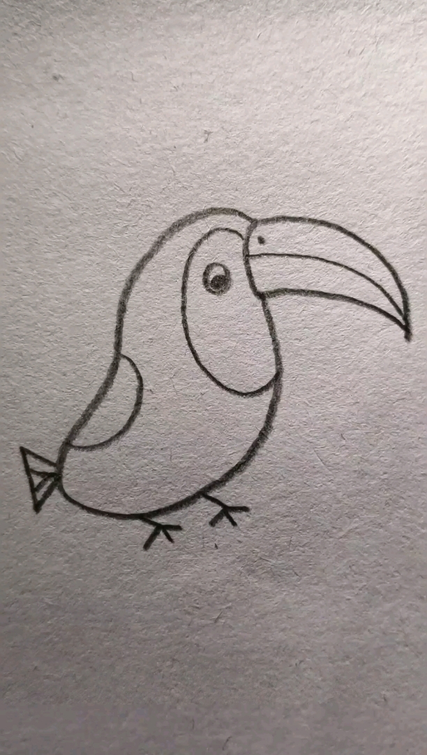 鹦鹉儿童画简笔画图片