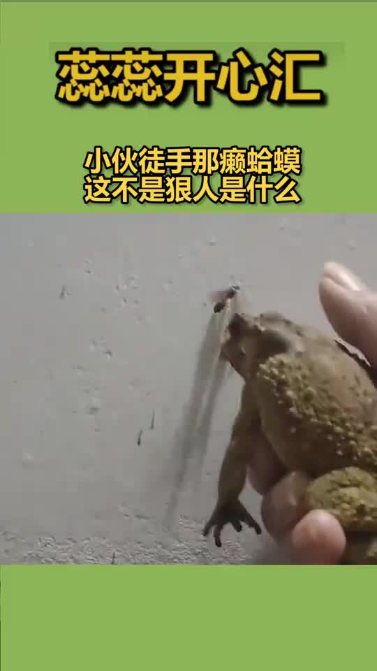 小伙徒手那癞蛤蟆,这不是狠人是什么