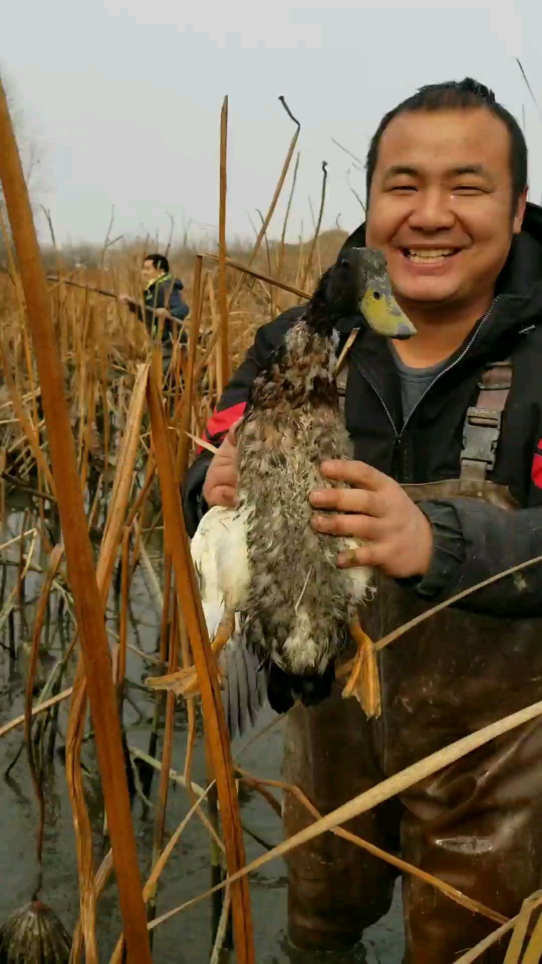 农民伯伯家的鸭子要我们帮忙抓起来.