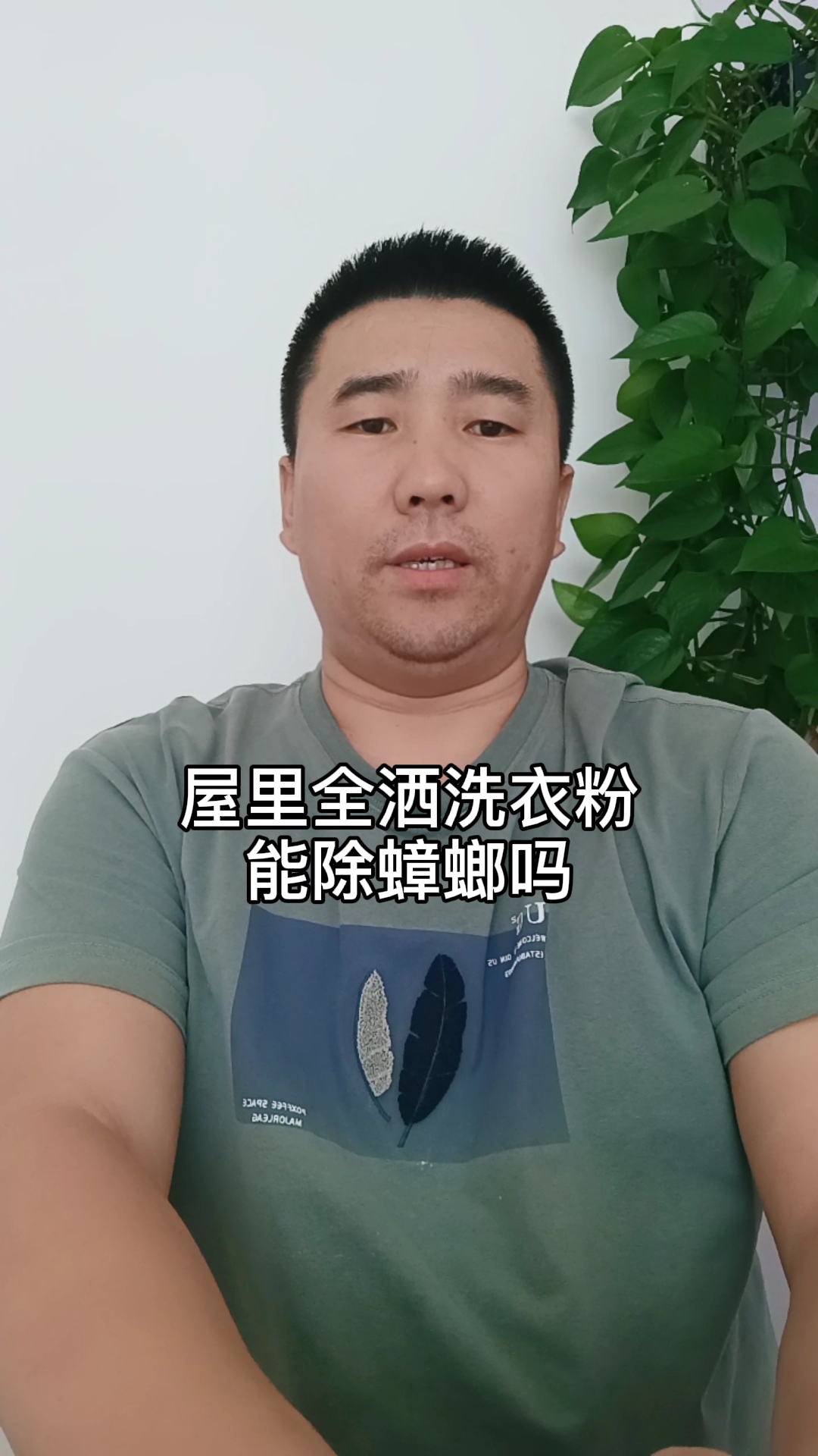 屋里全撒洗衣粉能除蟑螂吗?