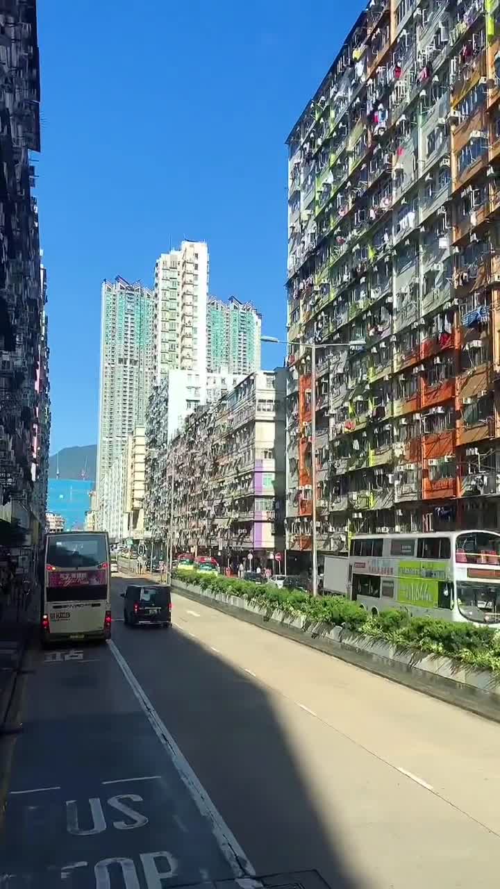 香港鸽子楼有多少层图片