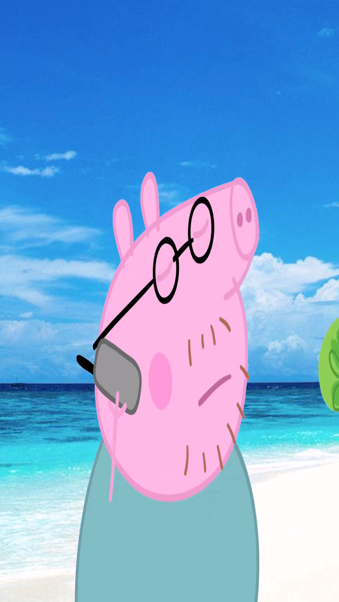 动画#给鹦鹉波利打电话