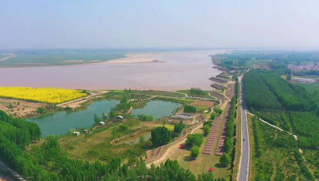 开封  #黄河 开封黄河生态廊道示范带正在紧锣密鼓的建设中.