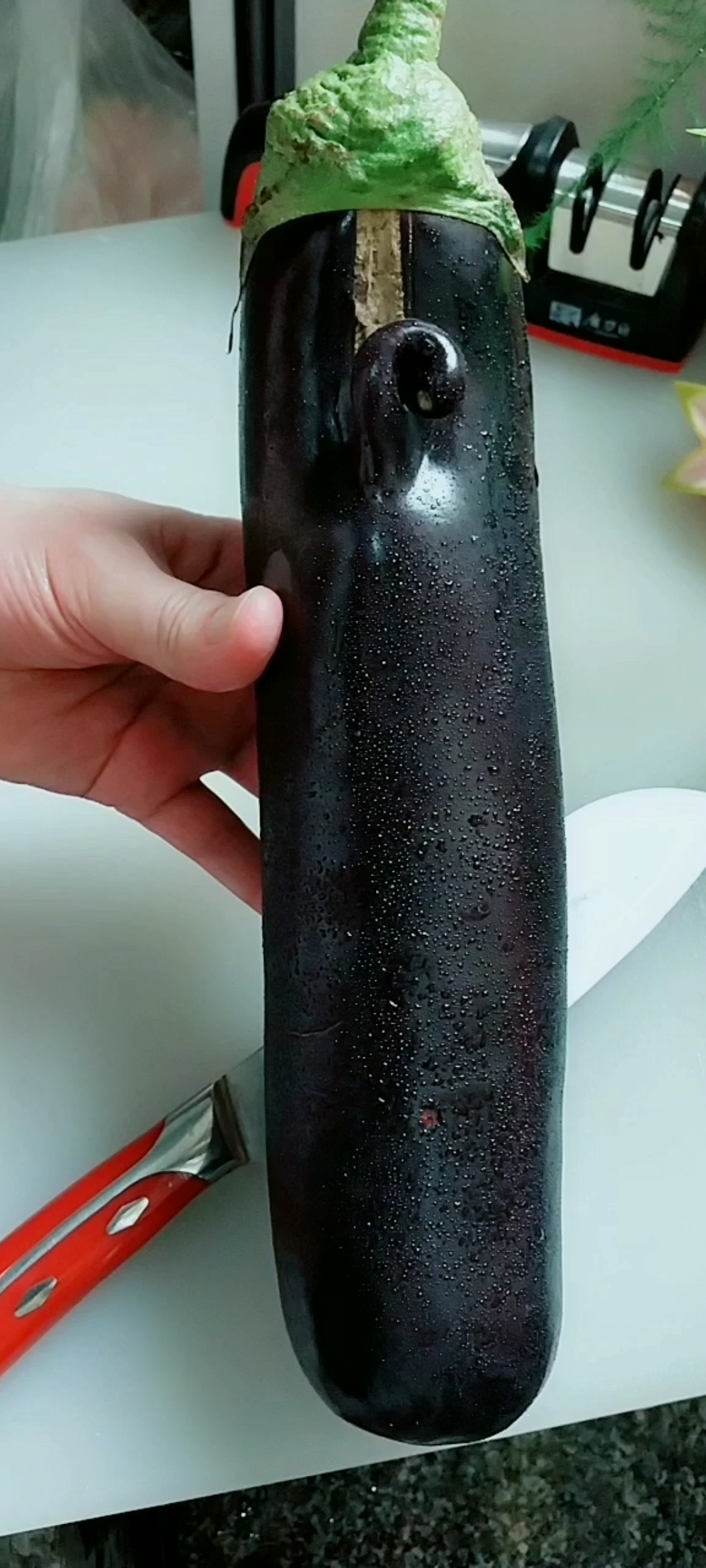 寻找最牛手艺人#茄子大变身