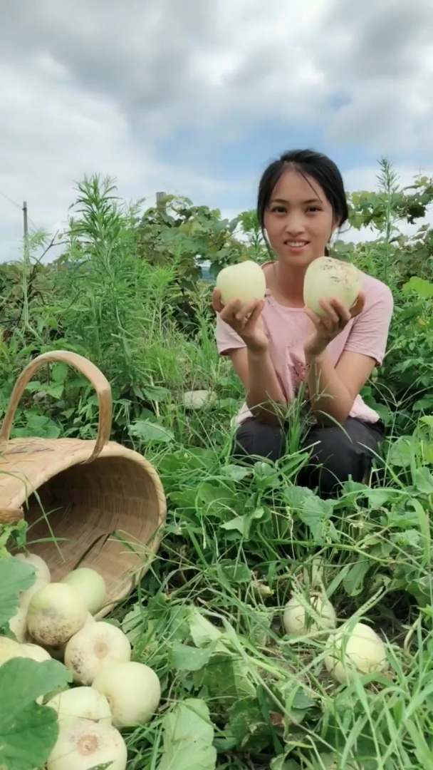 佛系生活#摘甜瓜