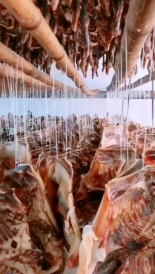 河南 信阳 商城县的丰集稻田板鸭