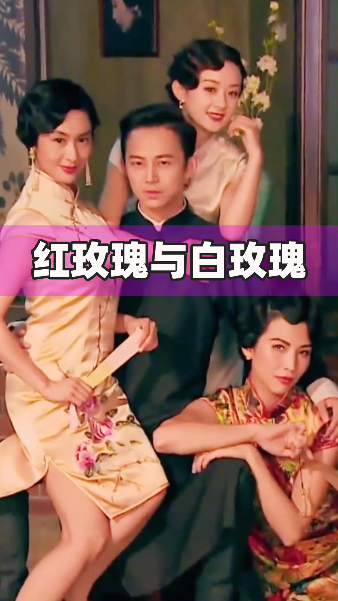 赵丽颖#何炅,赵丽颖,蔡少芬主演旗袍古装《红玫瑰与白玫瑰》朱茵求