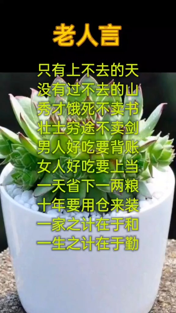 文字控 大实话