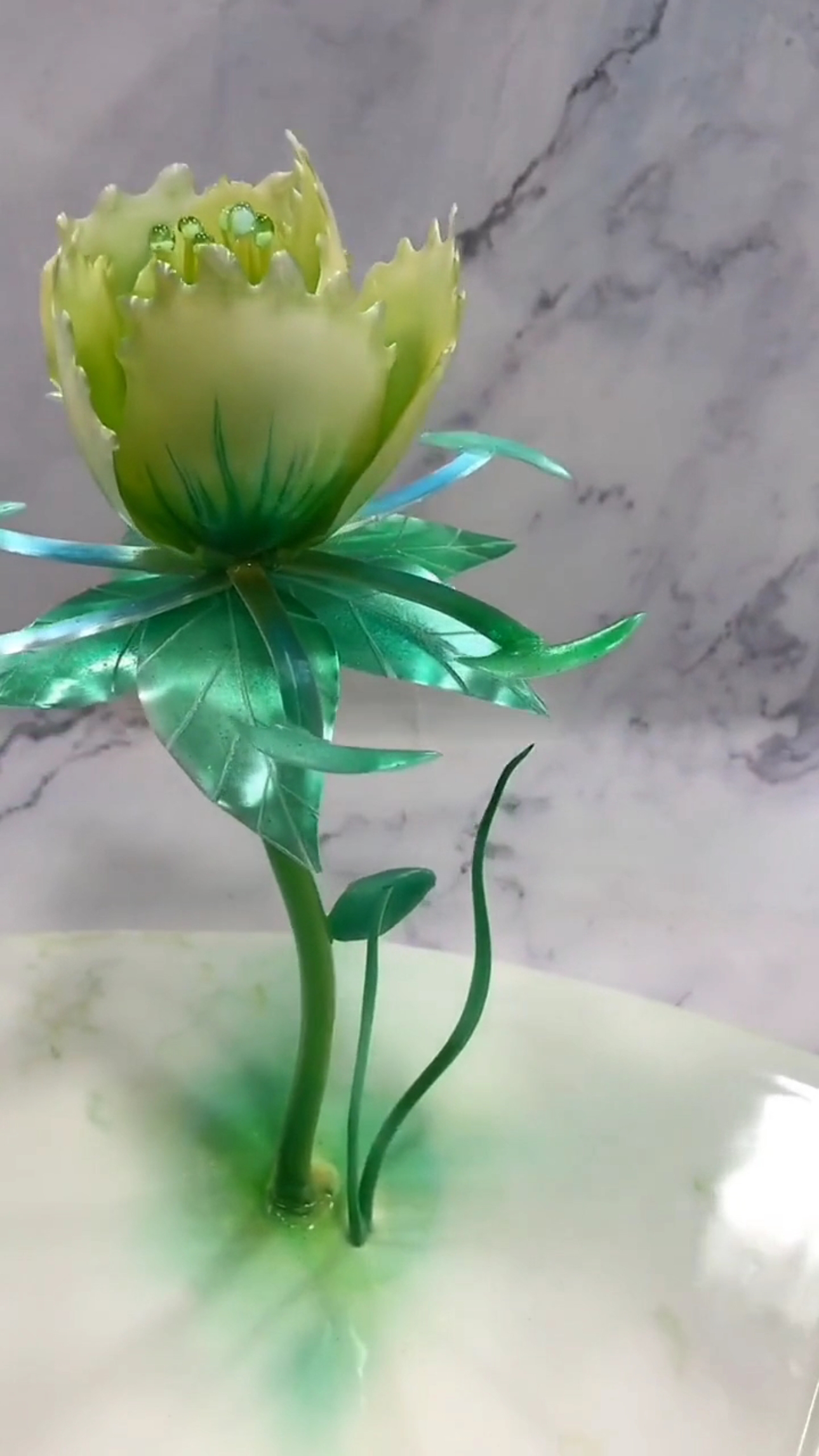 糖艺 绮罗郁金香