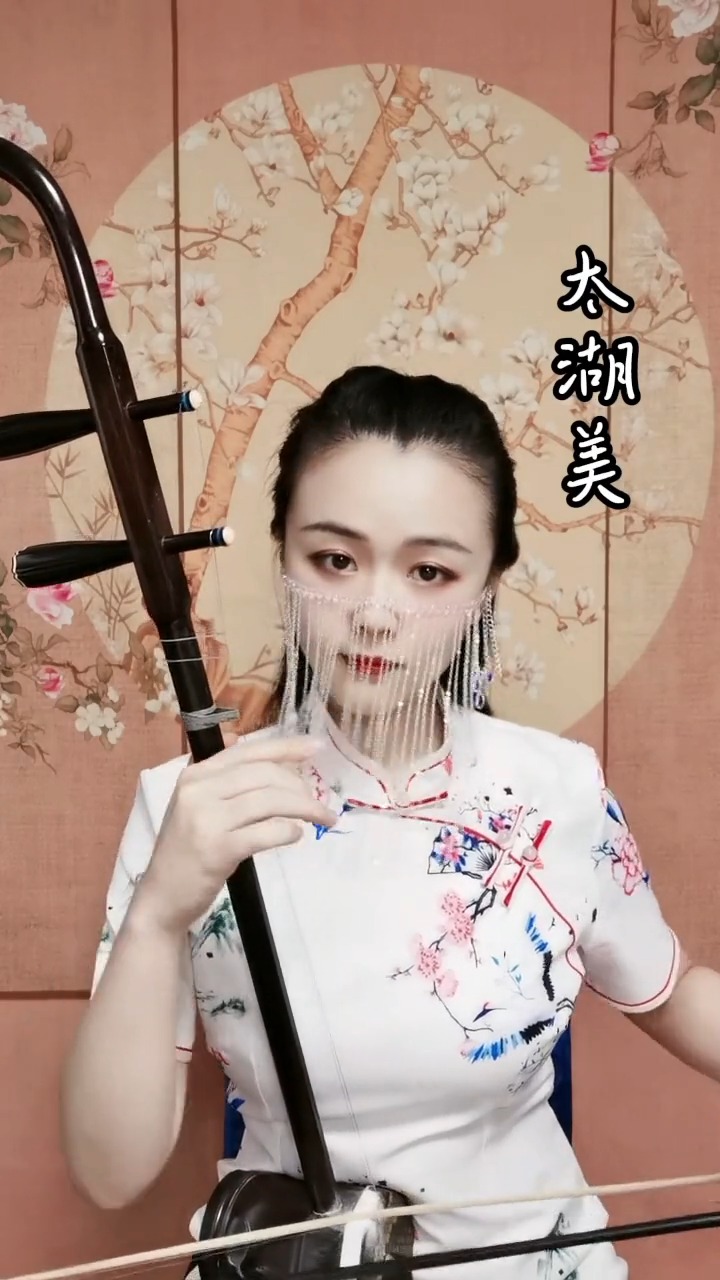 古典中国风#古风古韵民乐艺术欣赏,二胡独奏《太湖美,传承弘扬美种