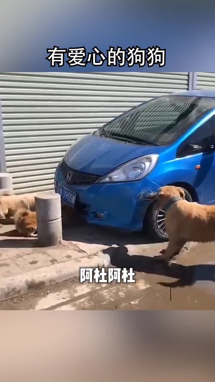 阿杜:我应该在车底,不应该在车里