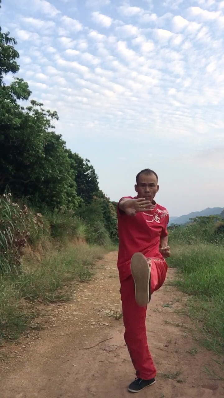 防身有术#(宏扬中华武术)晨练少林八步连环拳