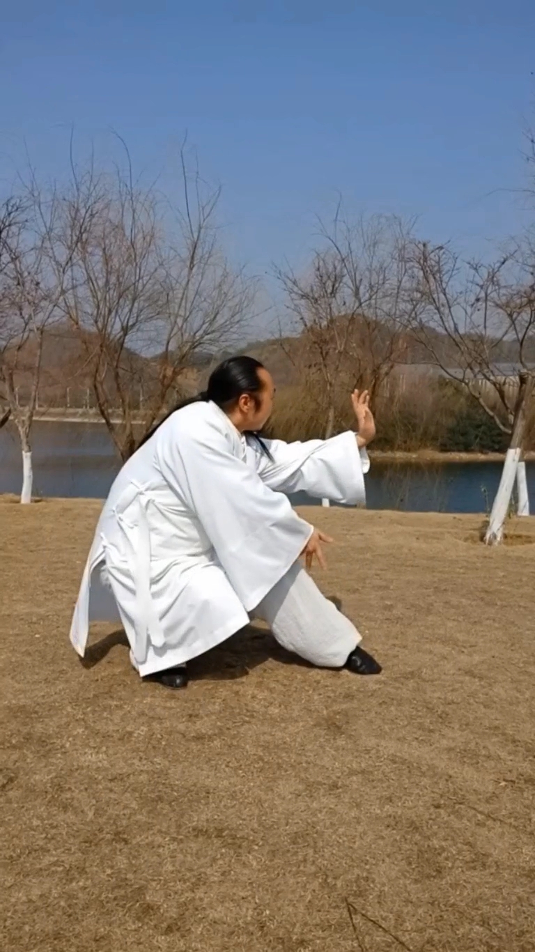 武当太乙逍遥掌  第五段  当年张三丰大战少林火工头陀所用的武功之一