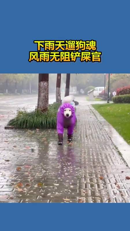 62万次播放.2021-07-027589搞笑星球杯1.