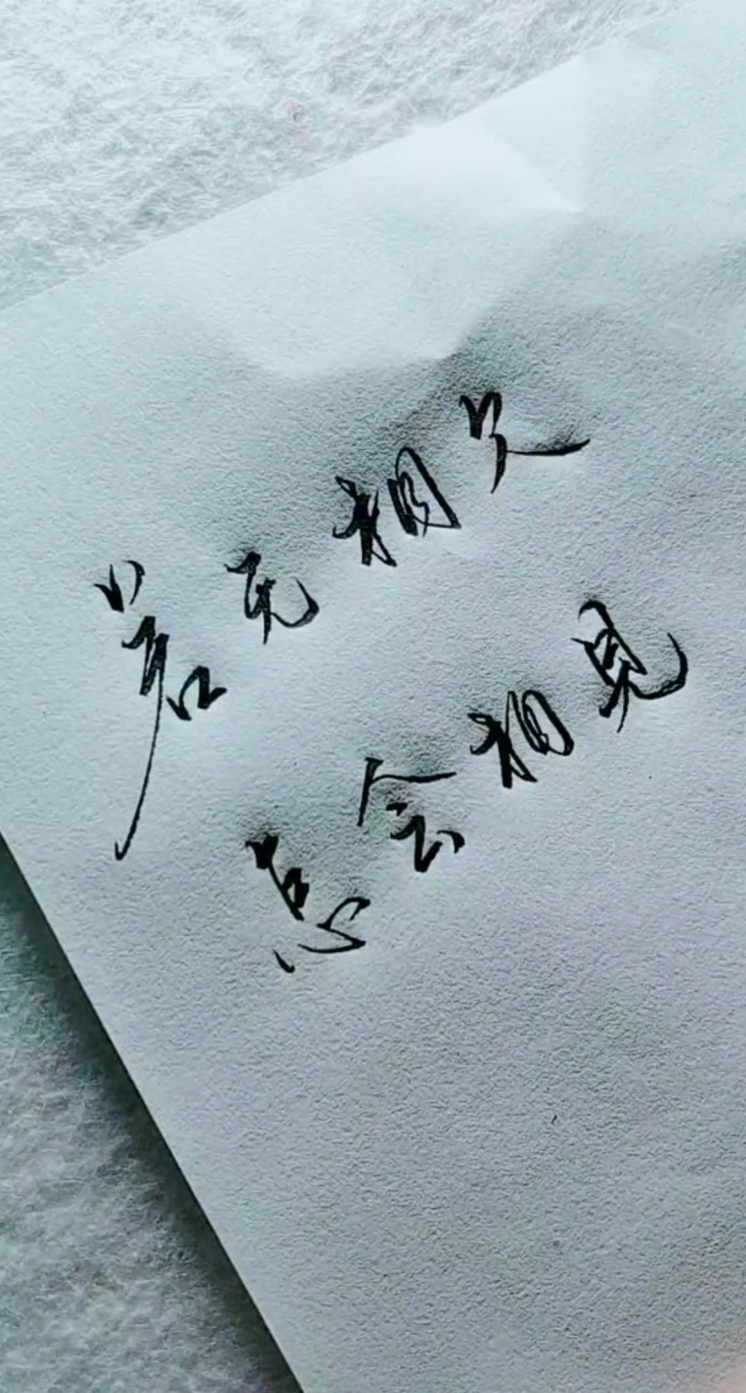 你喜欢的样子我都有#若无相欠怎会相见