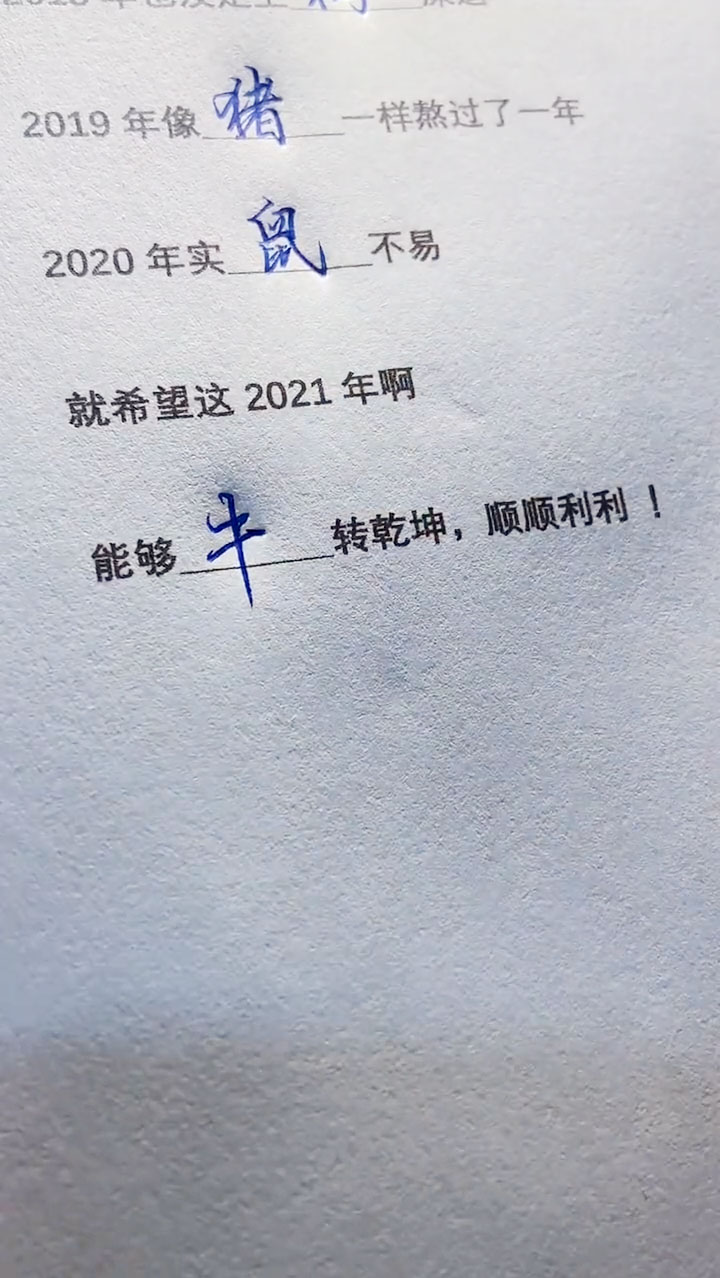 手写文字#希望2021年,能牛转乾坤,顺顺利利!