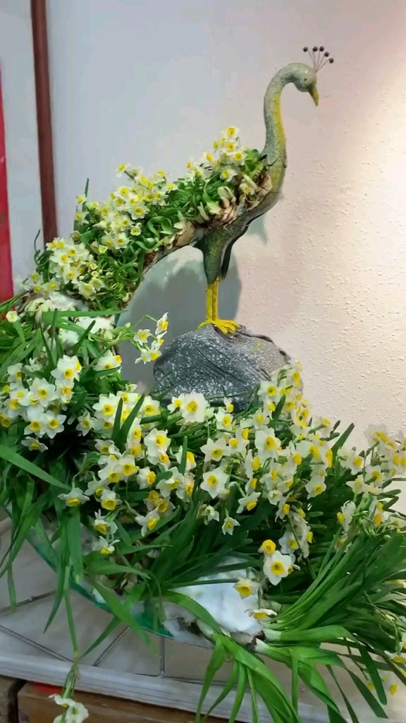 让这水仙孔雀给宅在家的大家带来一点香气