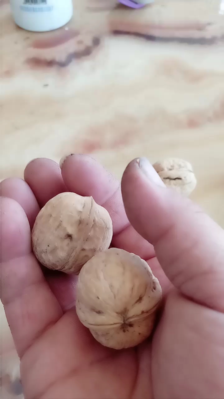 这核桃皮儿剥的,嘎嘎响.