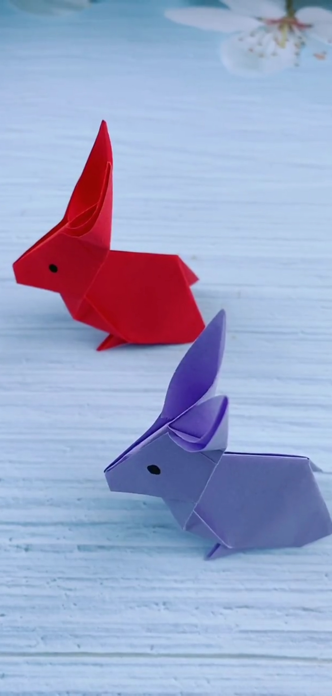 感谢全民我要上热门#小红兔和小紫兔来喽