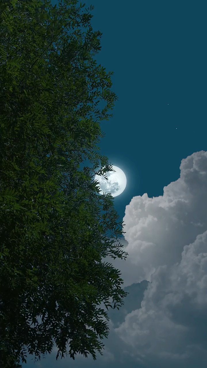 明月照的故乡美,月满影长人成双