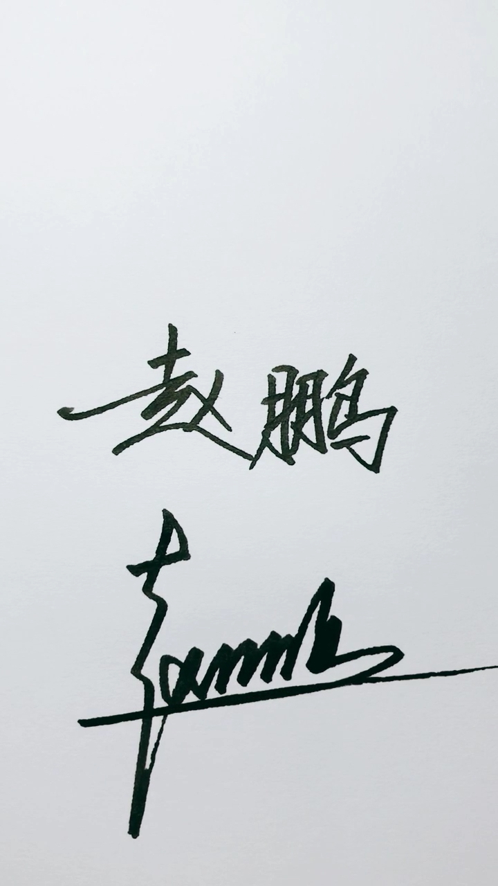 赵鹏飞艺术签名图片