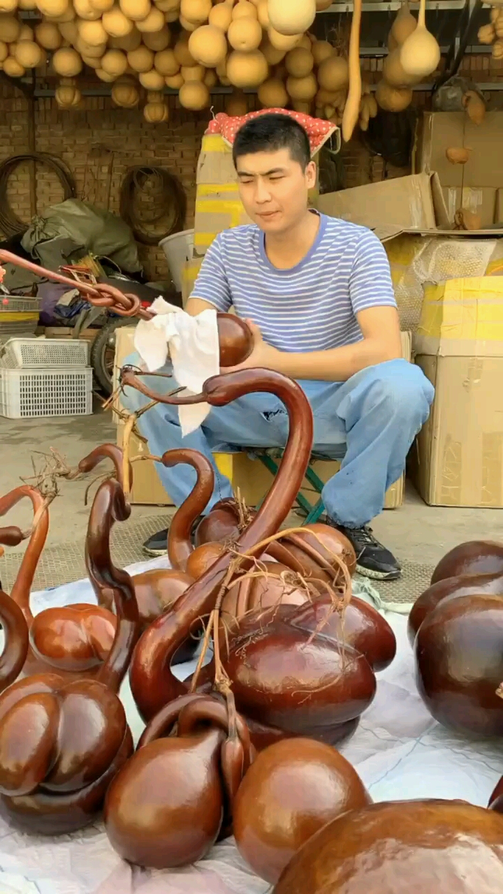 逛街看见这么漂亮的天鹅葫芦好美啊