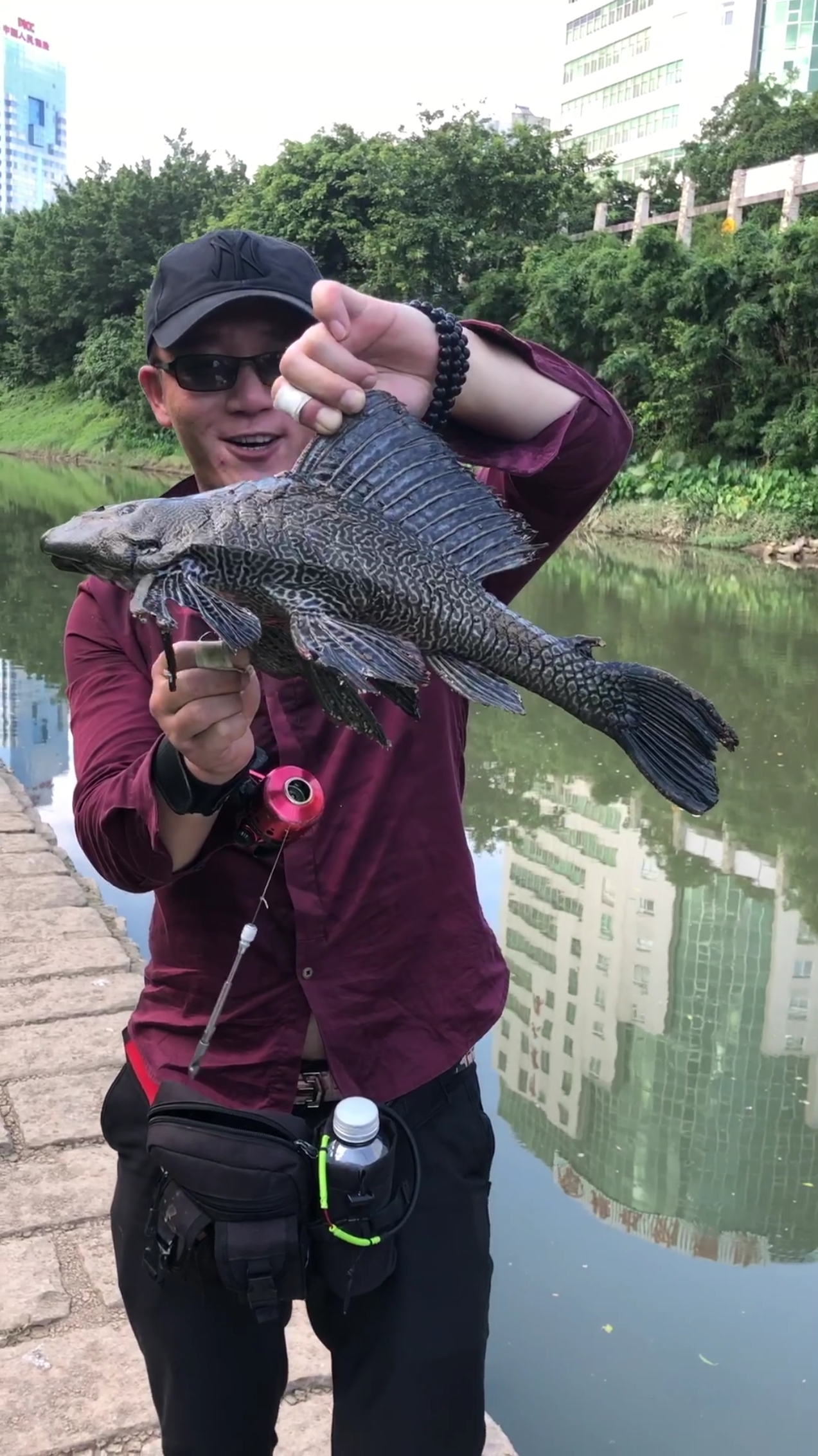 从来没见过这么大的飞机鱼