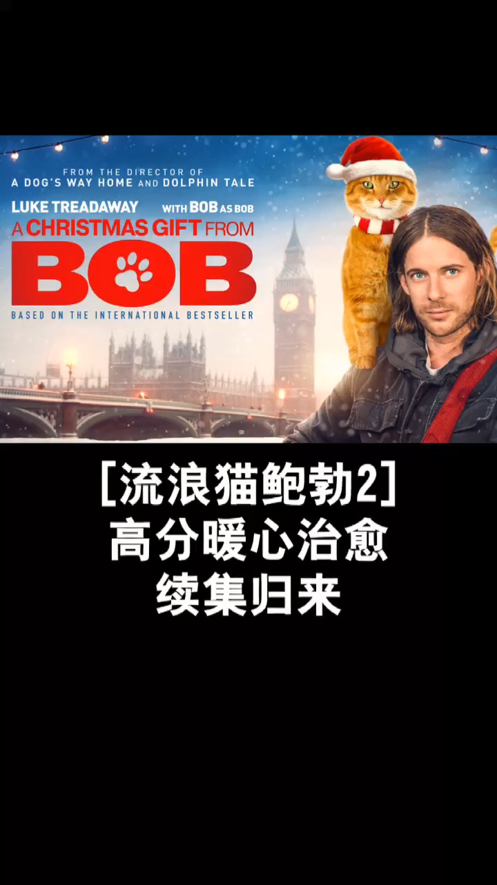 催泪片#《流浪猫鲍勃2》高分暖心治愈预告片