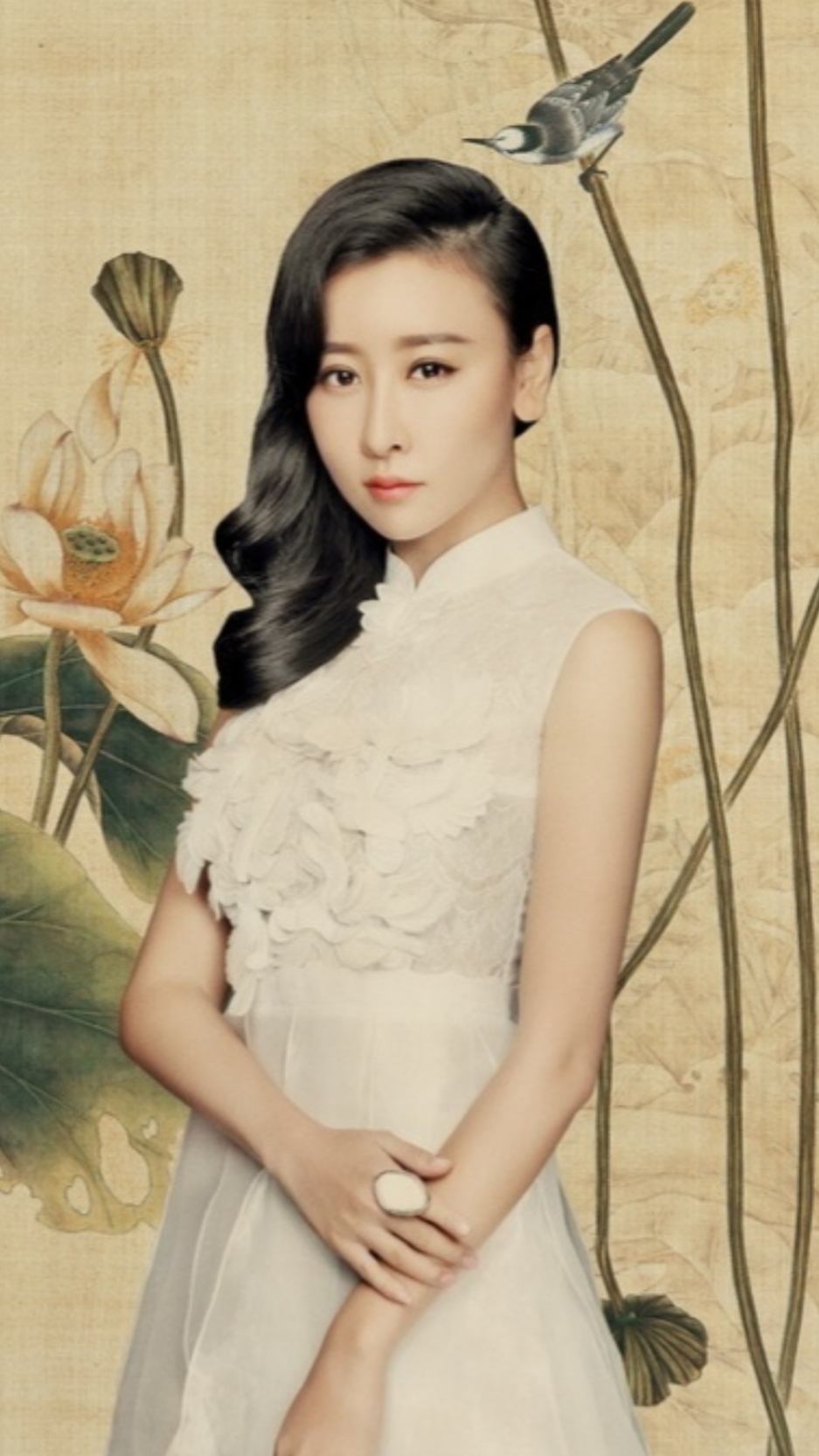 美女明星图,毛俊杰