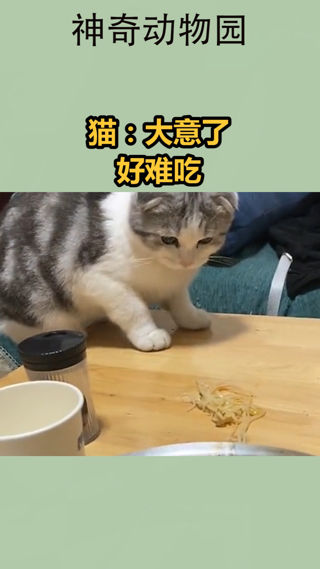 我要上热门#猫:大意了,好难吃