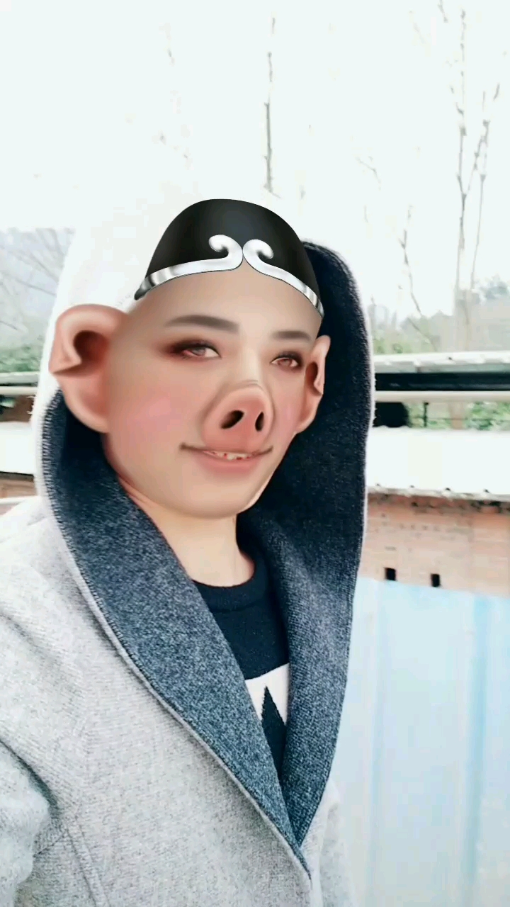 猪头来了,祝打开我视频的傻猪个个都快乐么么哒