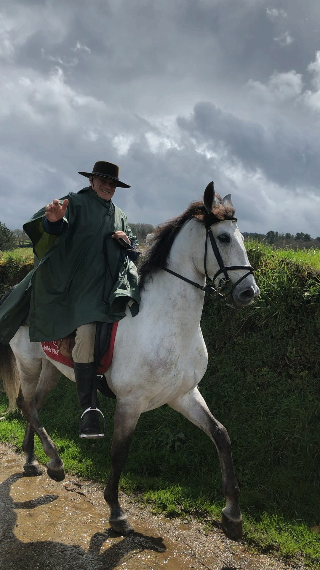 王子骑着白马来接你了