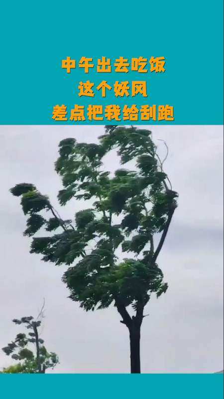 搞笑视频#中午出去吃饭,这个妖风,差点把我给刮跑!