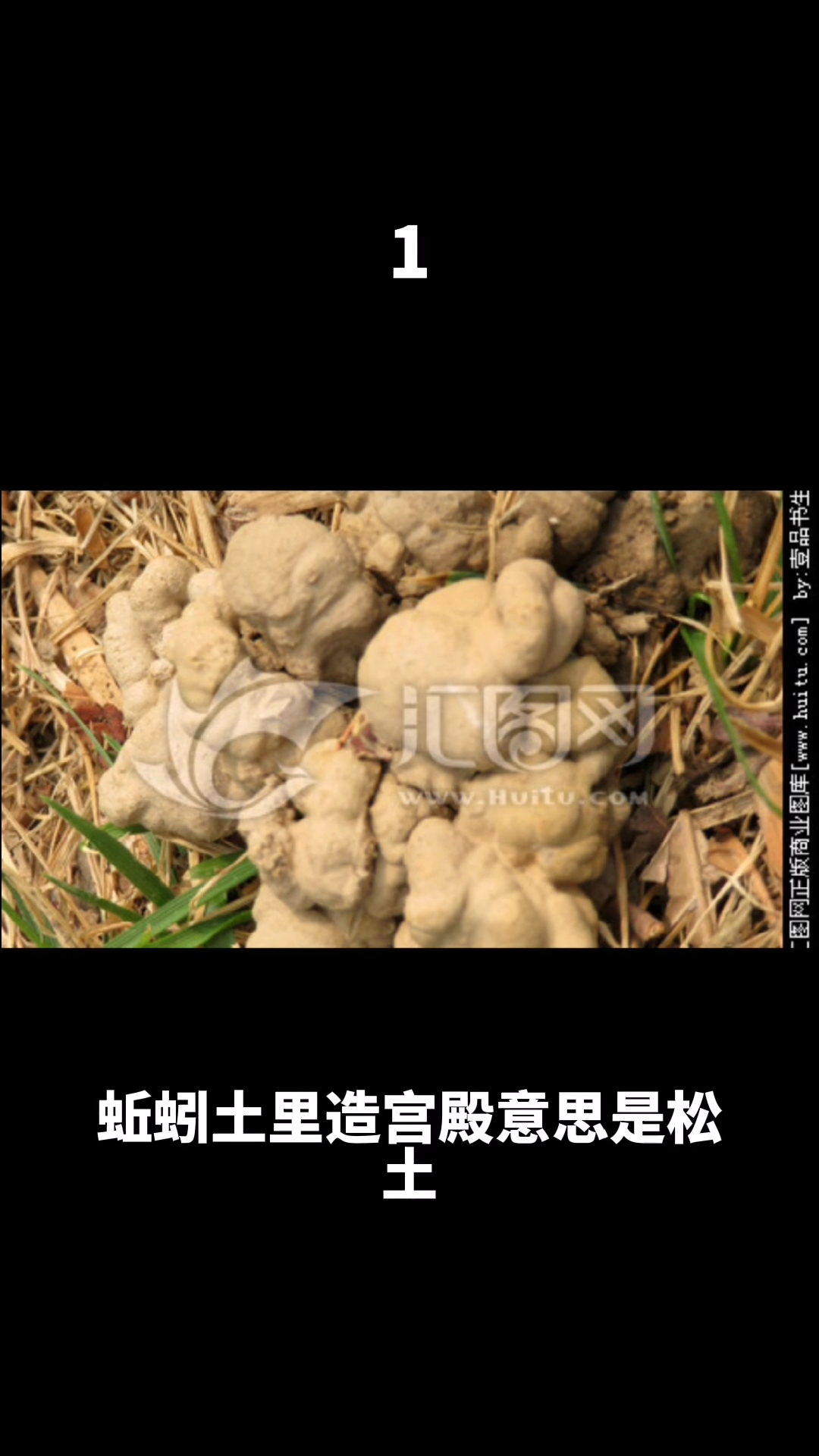 蚯蚓土里造宫殿的意思是什么