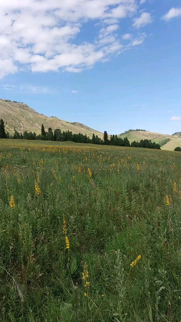 藍天,綠地,青山,舒坦