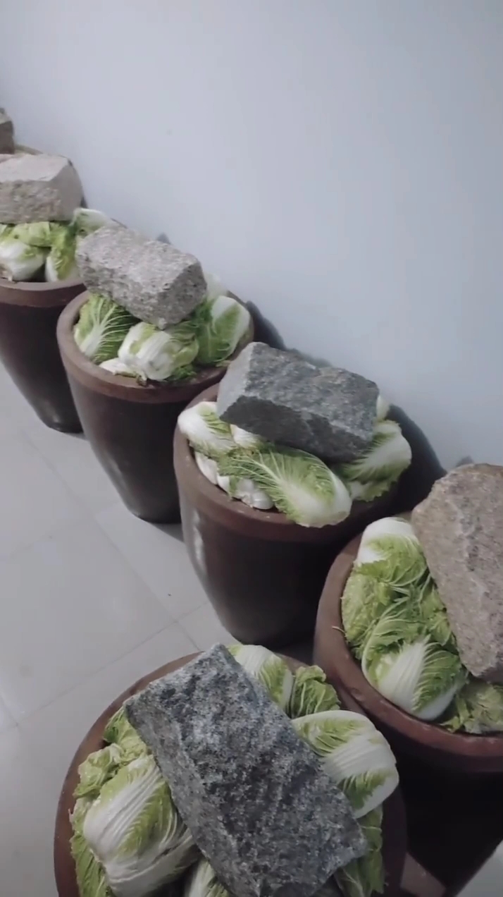 就放一样东西一缸酸菜2斤盐.