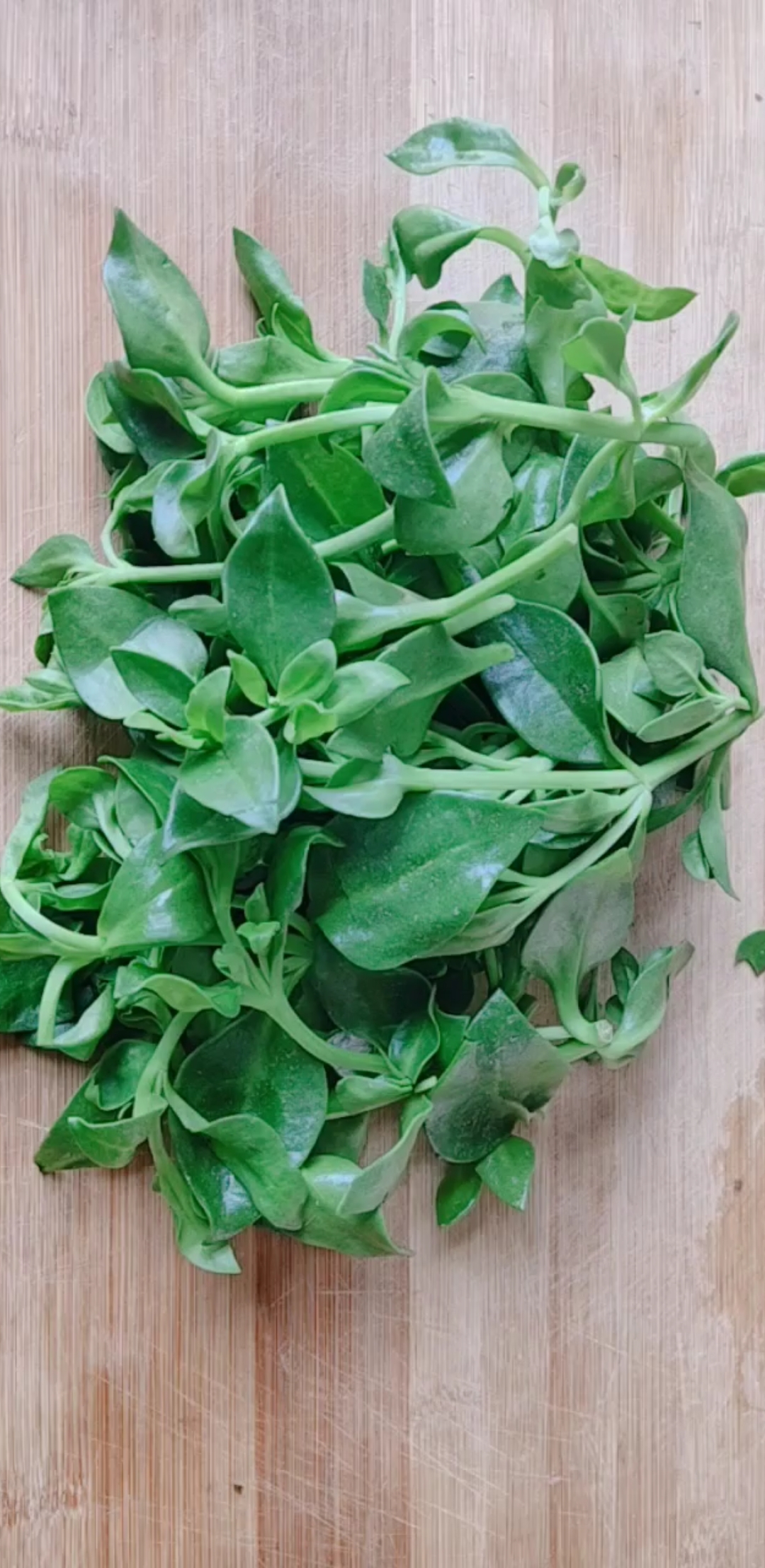 美食记#田七菜的家常做法,简单营养又好吃!