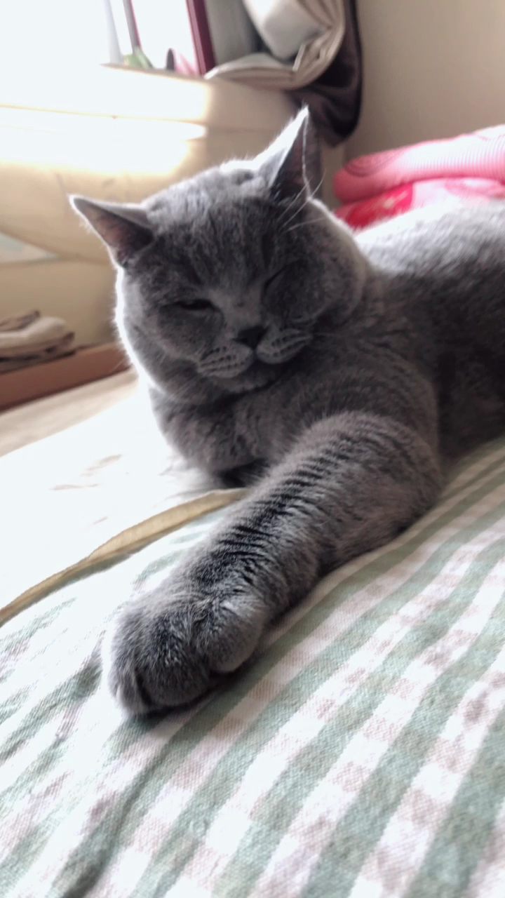 丑八怪ム