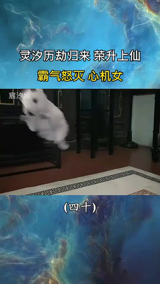 精彩影视灵汐历劫归来荣生上神