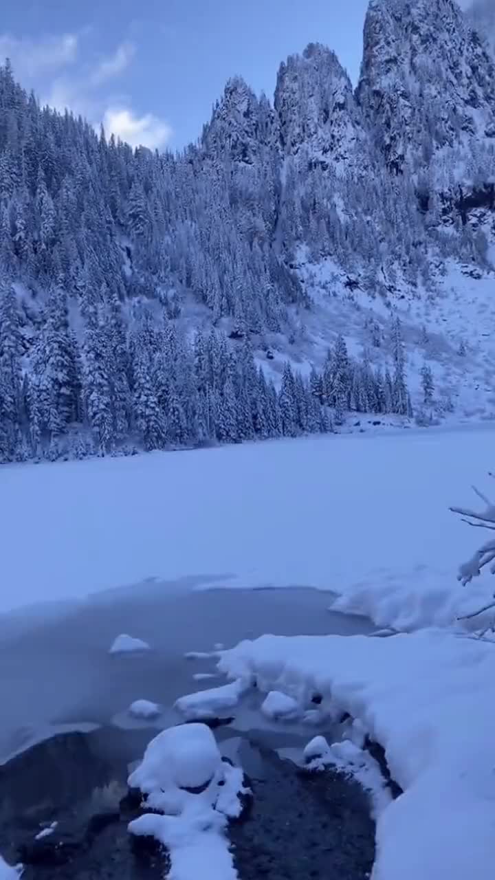 冬天该有的样子 最美雪景 带你看雪 雪