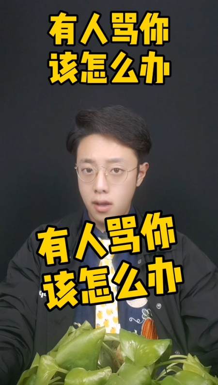 被人骂是怼回去还是怼回去还是怼回去?