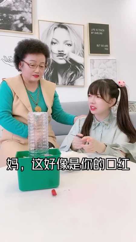 果苗果树种植杨梅嫁接苗东魁杨梅苗木67432484#记录我的农村生活#打工