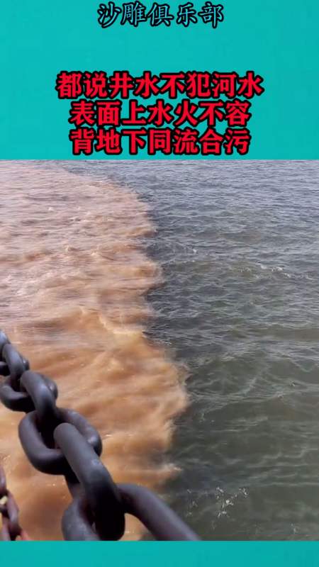 搞笑视频#都说井水不犯河水,表面上水火不容,被地下同流合污
